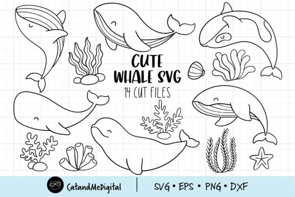 Download Cute Whale Svg - Premium Resources